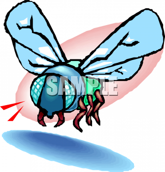 Insect Clipart