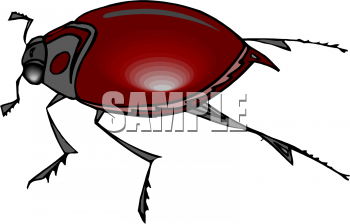 Insect Clipart