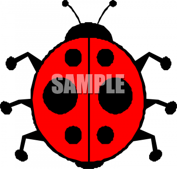 Insect Clipart