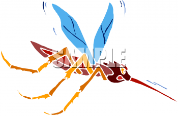 Insect Clipart