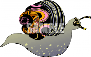 Mollusk Clipart