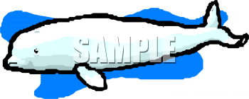 Fish and Sea Life Clipart