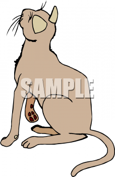 Pet Clipart