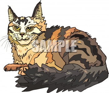 Pet Clipart