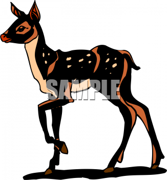 Deer Clipart