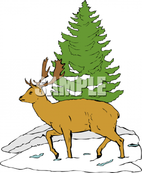 Deer Clipart