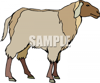 Farm Animal Clipart