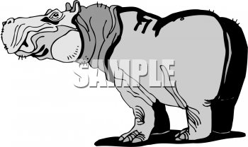 Animal Clipart