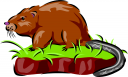 Rodent Clipart