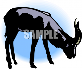 Farm Animal Clipart