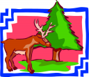 Deer Clipart