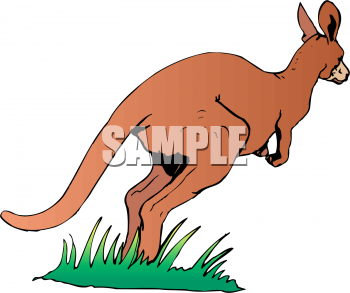 Marsupial Clipart