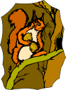 Rodent Clipart