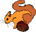 Rodent Clipart