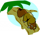 Rodent Clipart