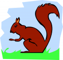 Rodent Clipart