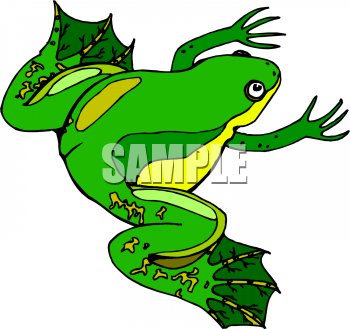 Amphibians Clipart