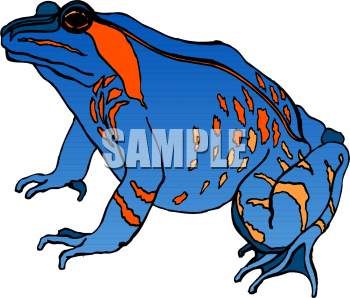 Amphibians Clipart