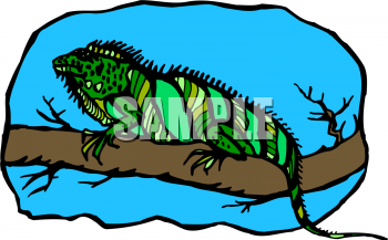 Reptile Clipart