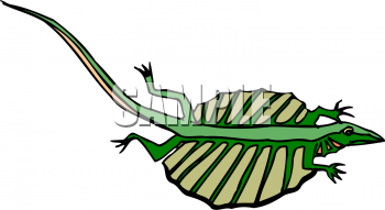 Lizard Clipart