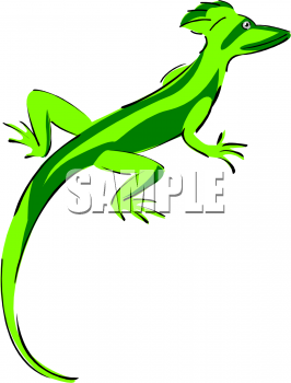 Reptile Clipart