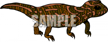 Amphibians Clipart