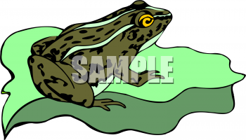 Amphibians Clipart