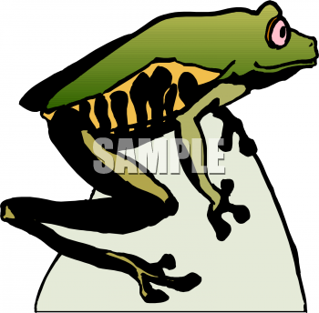 Amphibians Clipart