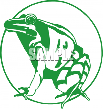 Amphibians Clipart