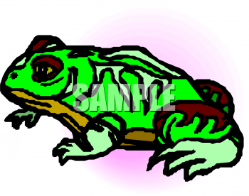 Amphibians Clipart