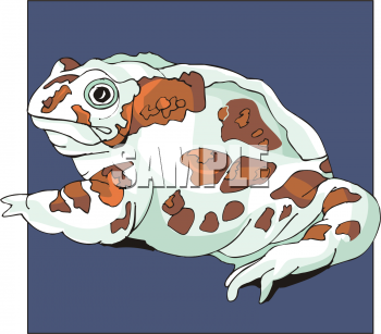 Amphibians Clipart