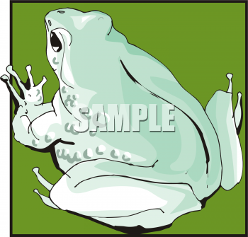 Amphibians Clipart