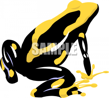 Amphibians Clipart