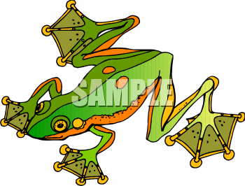 Amphibians Clipart