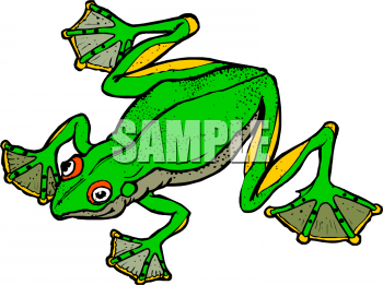 Amphibians Clipart