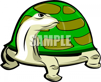 Reptile Clipart