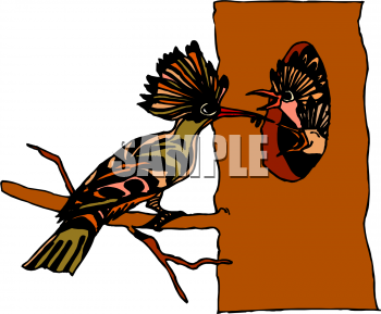 Insect Clipart