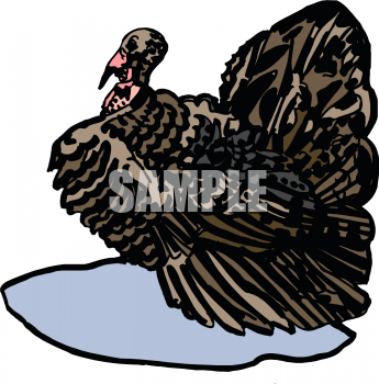 Thanksgiving Clipart