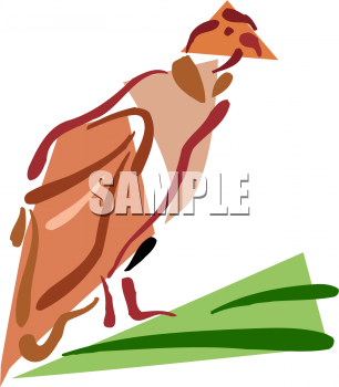 Bird Clipart