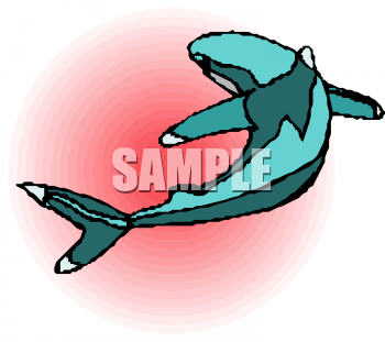 Fish and Sea Life Clipart