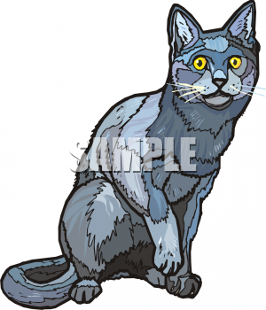 Pet Clipart