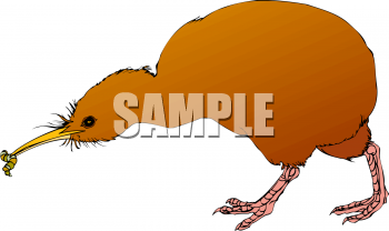 Invertebrates Clipart