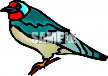 Bird Clipart