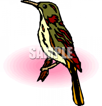 Bird Clipart