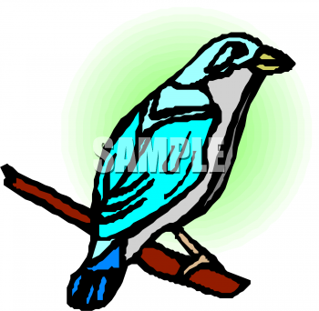 Bird Clipart