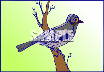 Bird Clipart