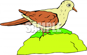 Bird Clipart