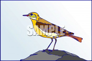 Bird Clipart