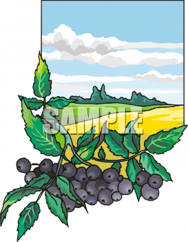 Farm Produce Clipart