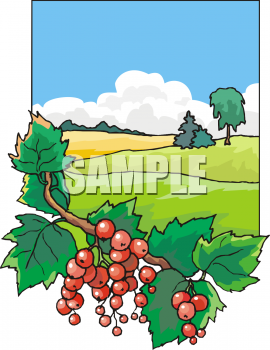 Farm Produce Clipart